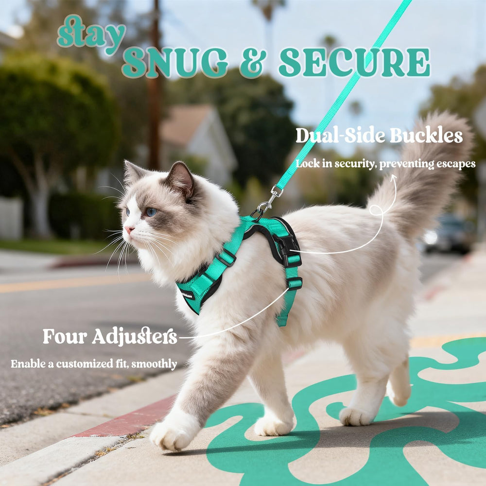 Rabbitgoo cat harness leash back-clip enables reliable control.