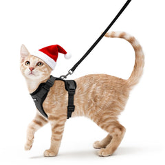 rabbitgoo cat harness overhead-fit shows quick, secure on-off for walks.