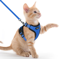 Rabbitgoo cat harness overview showing compact, escape-proof design for safe outdoor adventures