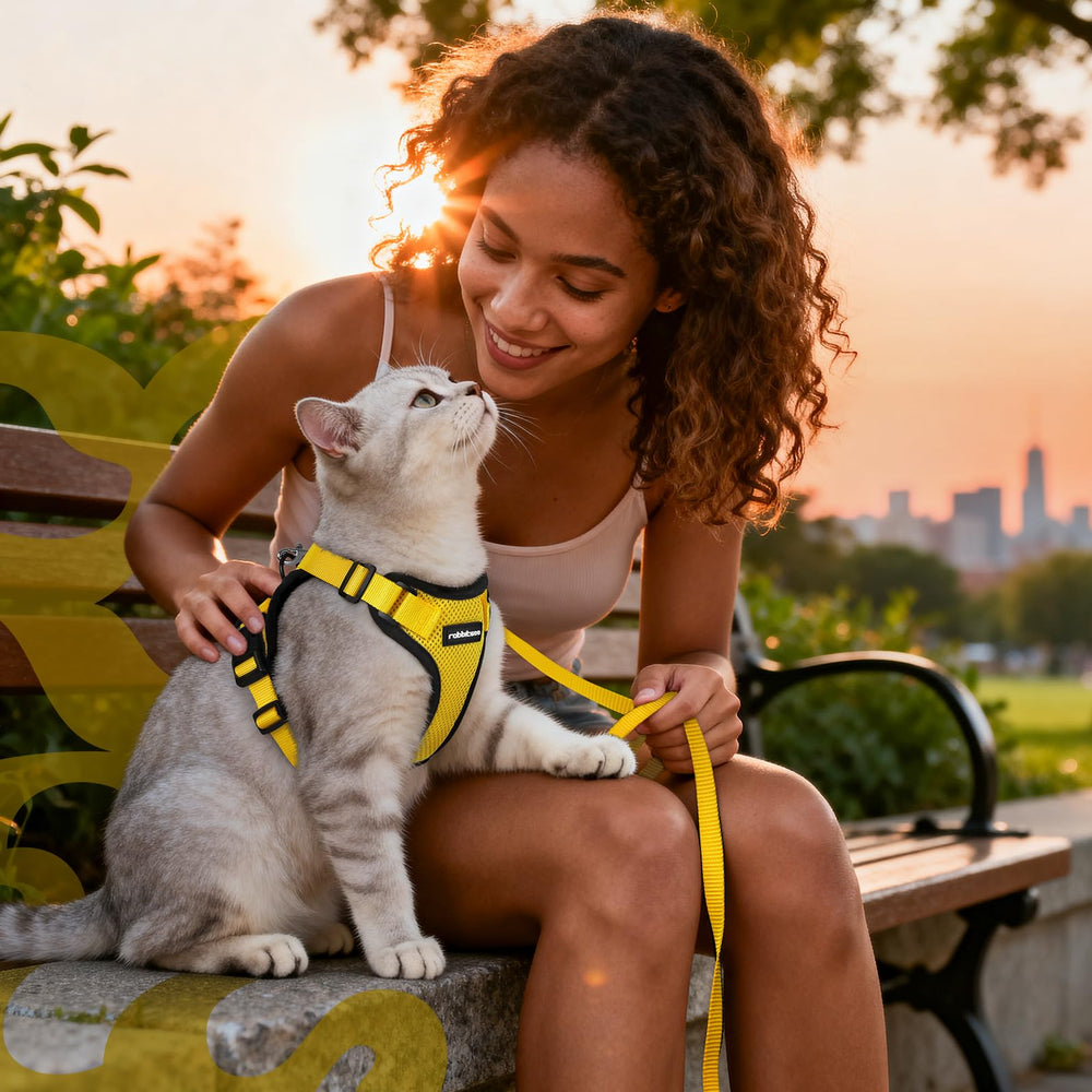 Rabbitgoo package includes harness and leash for ready-to-walk adventures.