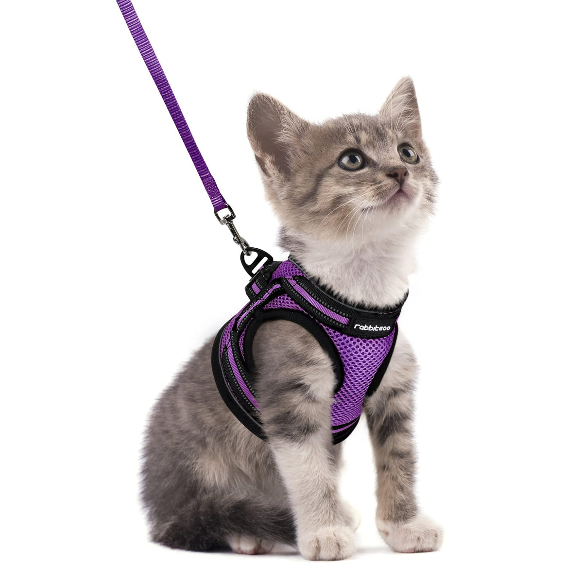 Rabbitgo cat harness closeup shows breathable padding for comfort during walks