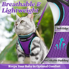 Rabbitgoo cat harness reflective strip enhances visibility during dusk walks