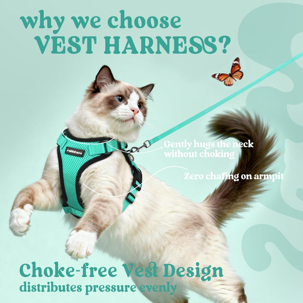 Rabbitgoo cat harness reflective strips improve day and night visibility.