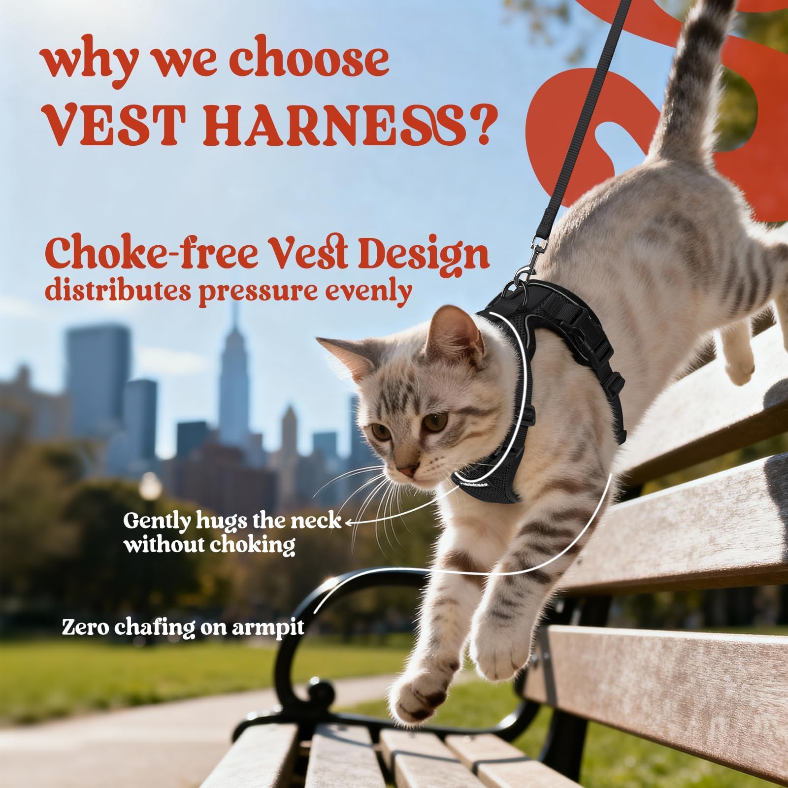 Rabbitgoo cat harness reflective strips improve visibility during dawn and dusk.