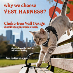 Rabbitgoo cat harness reflective strips improve visibility during dawn and dusk.