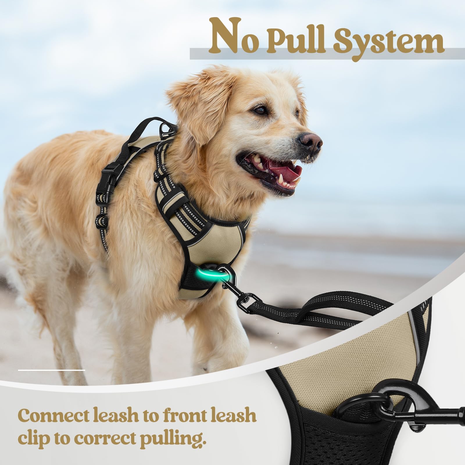 Rabbitgoo harness adjustable straps ensure a snug fit across growing large dogs