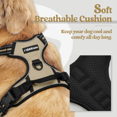 Rabbitgoo dog harness back clip showcases casual-walk versatility and relaxed leash handling