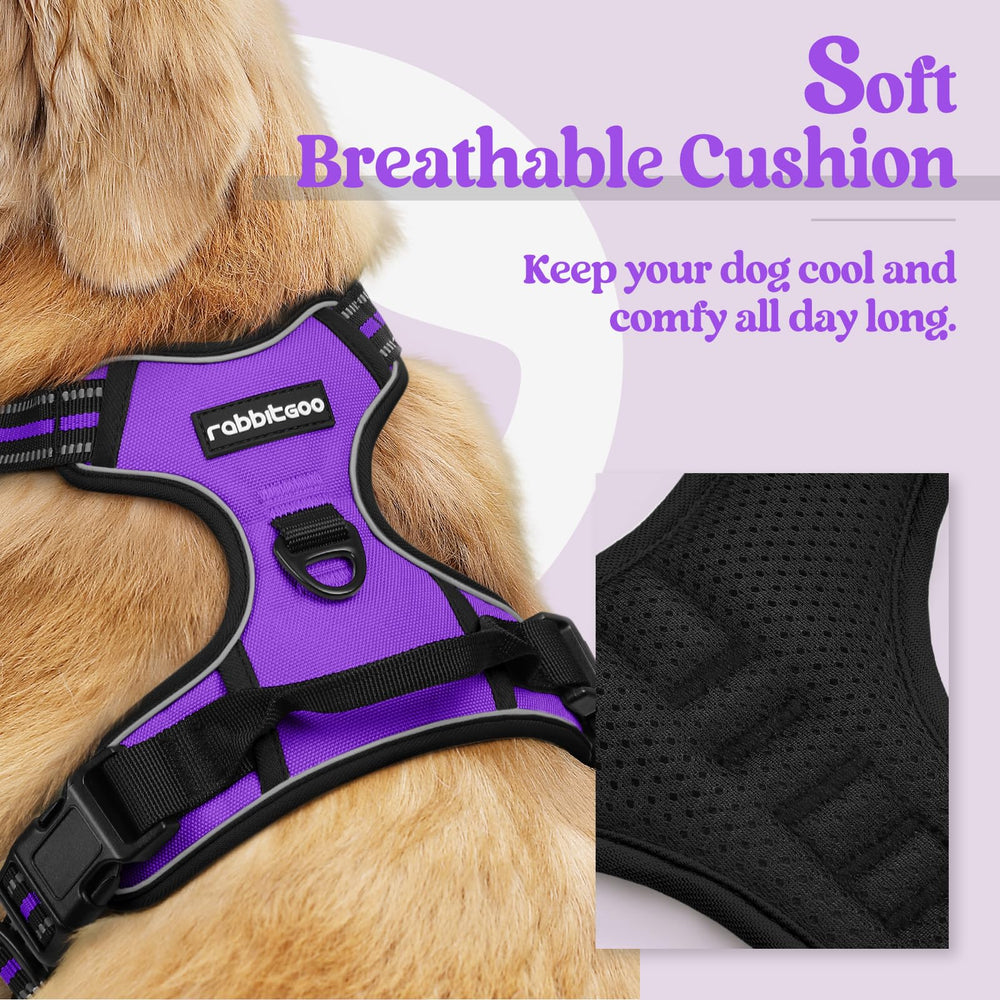 Rabbitgoo dog harness back-clip for casual walks and easy handling.