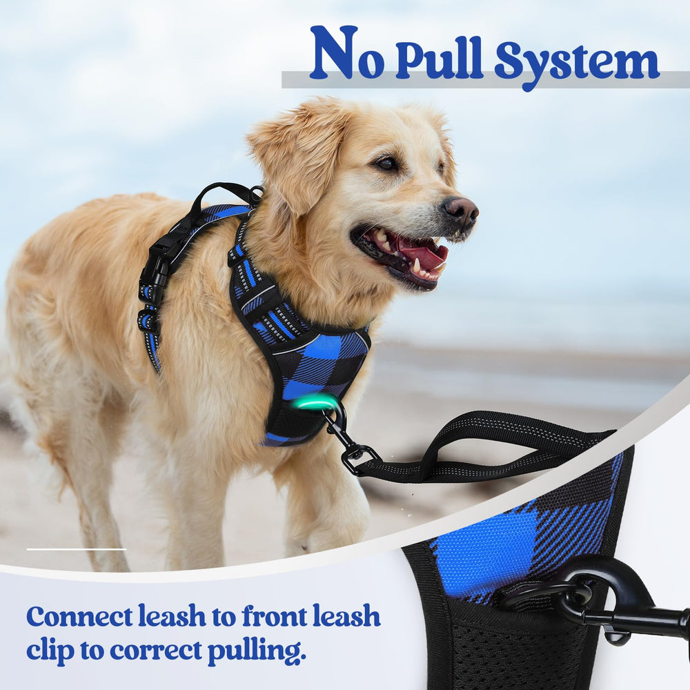 Rabbitgoo adjustable straps detail for perfect growth fit and secure wear.