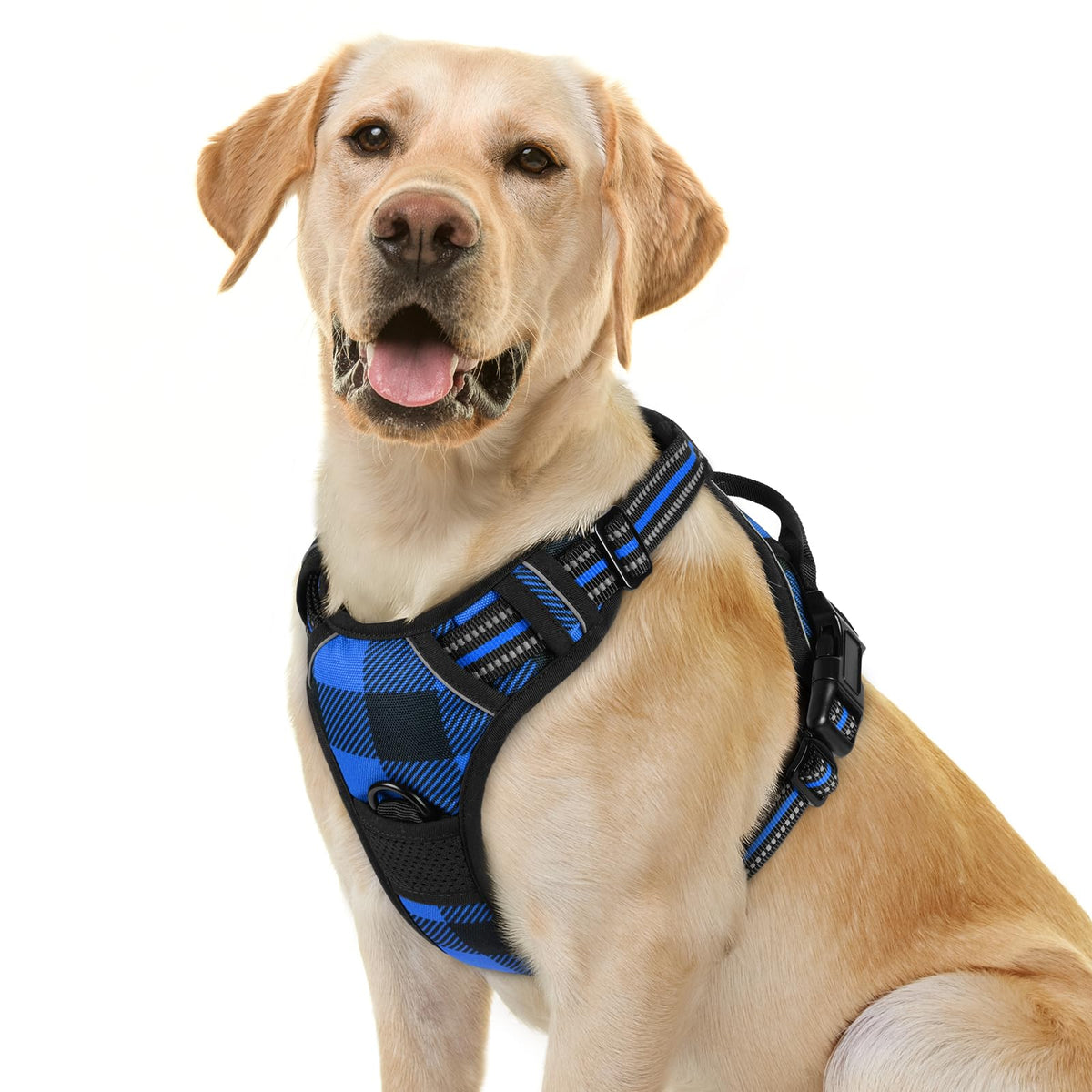 Rabbitgoo dog harness front view with blue plaid for no-pull training and comfort.