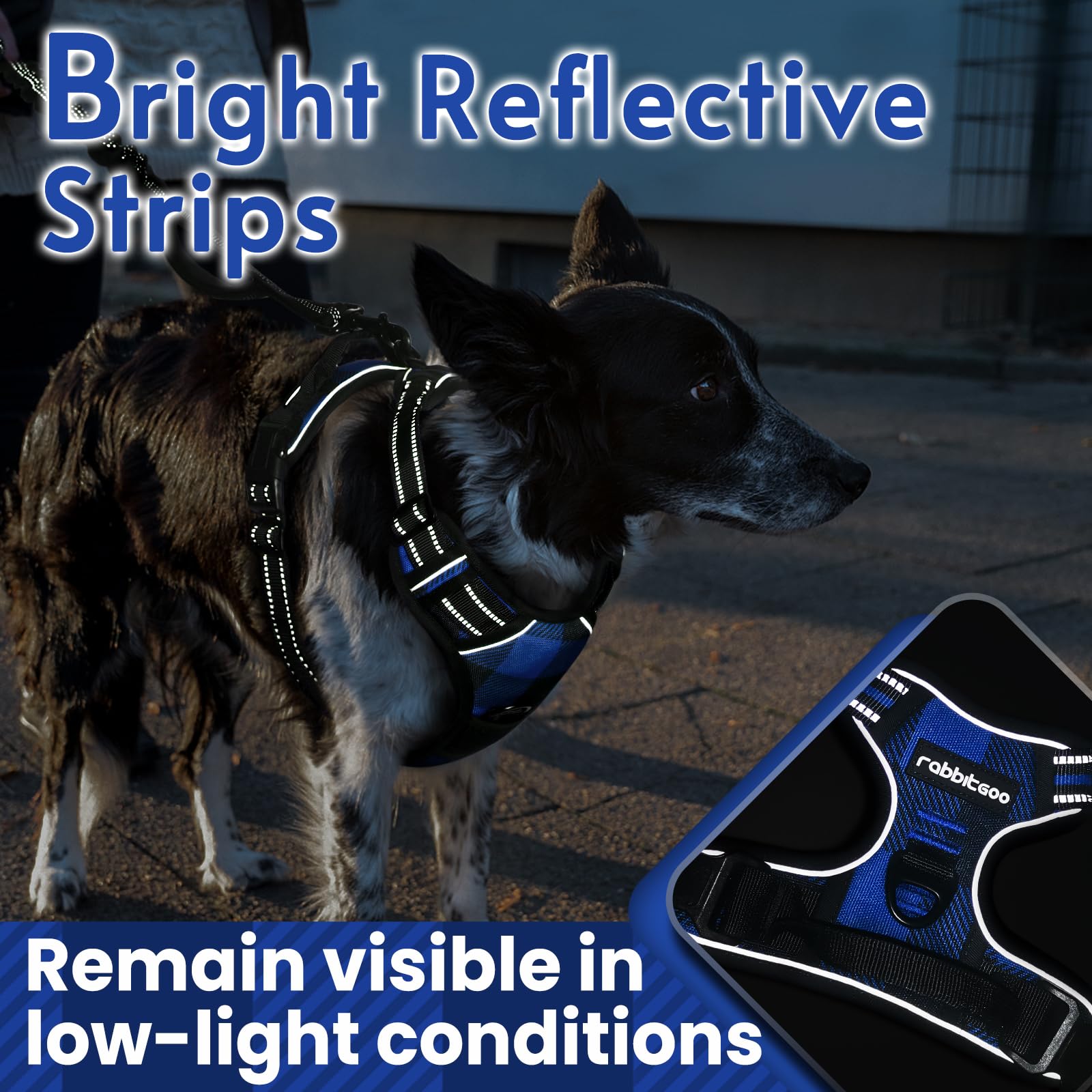 Rabbitgoo soft padding ensures comfortable daily walks and gentle skin protection.