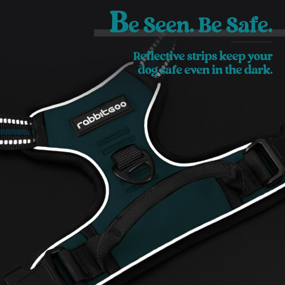 Rabbitgoo breathable mesh harness blue coral keeps dogs cool on outdoor adventures