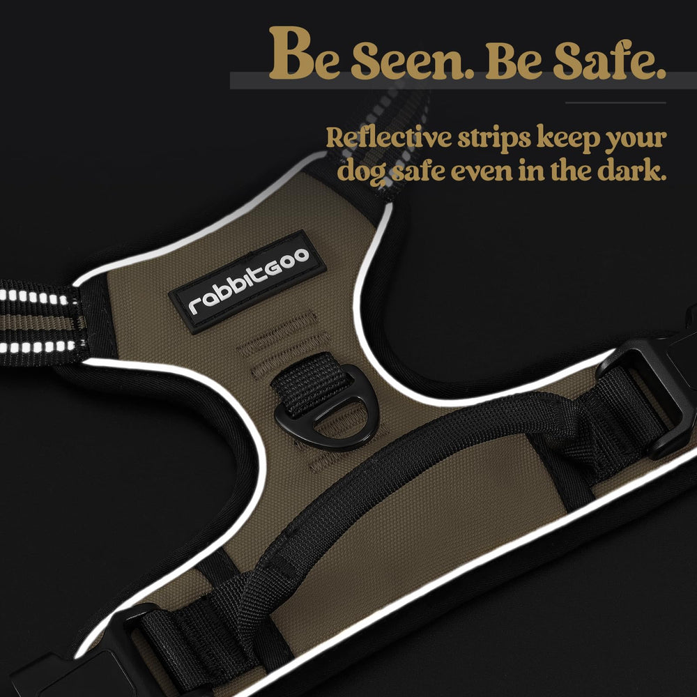 Rabbitgoo breathable oxford mesh keeps dogs cool on hot outdoor adventures