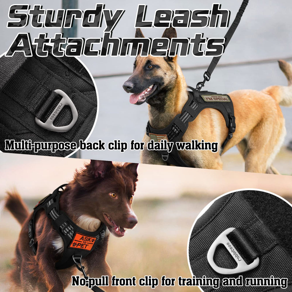 Rabbitgoo dual leash attachments offer versatility during walks