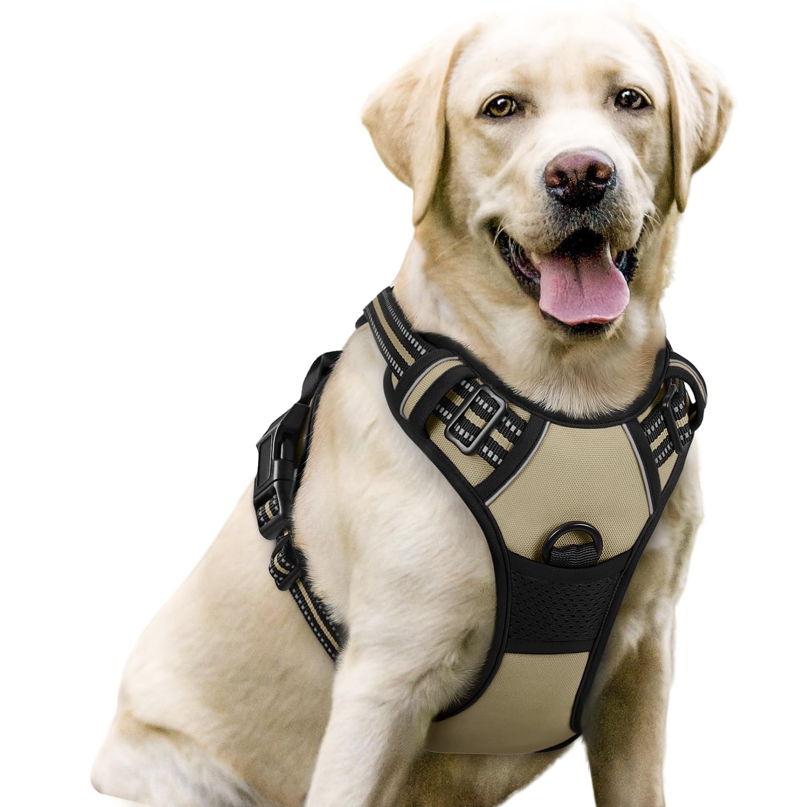 Rabbitgoo dog harness no-pull chest clip aids safer, more controlled walks