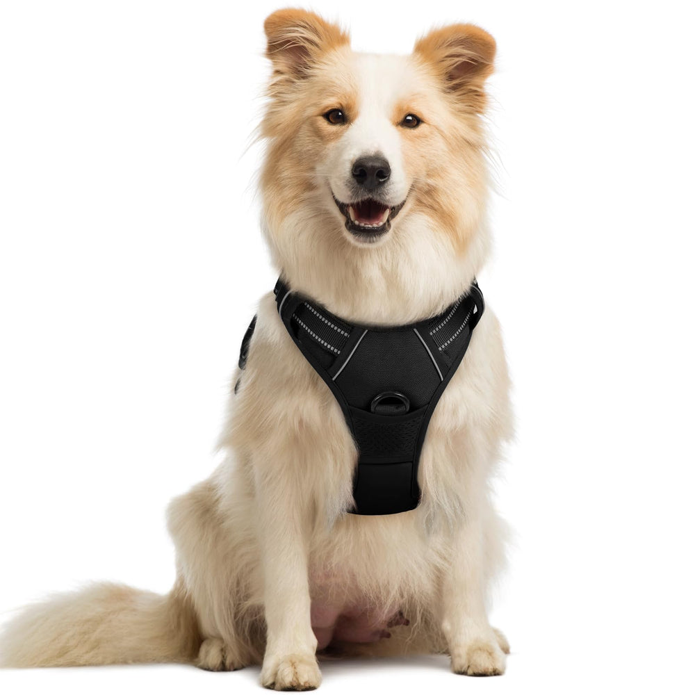 rabbitgoo dog harness no pull chest clip for safer daily walks