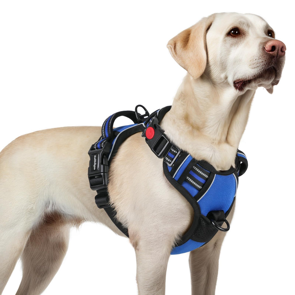Rabbitgoo dog harness no-pull design for easy on-off walks.