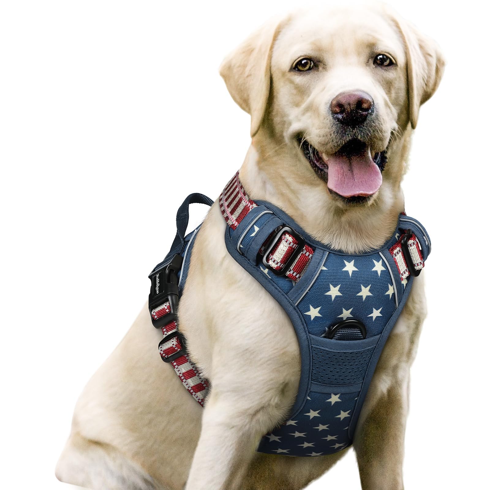 Rabbitgoo dog harness No Pull with back clip for safer controlled walks.