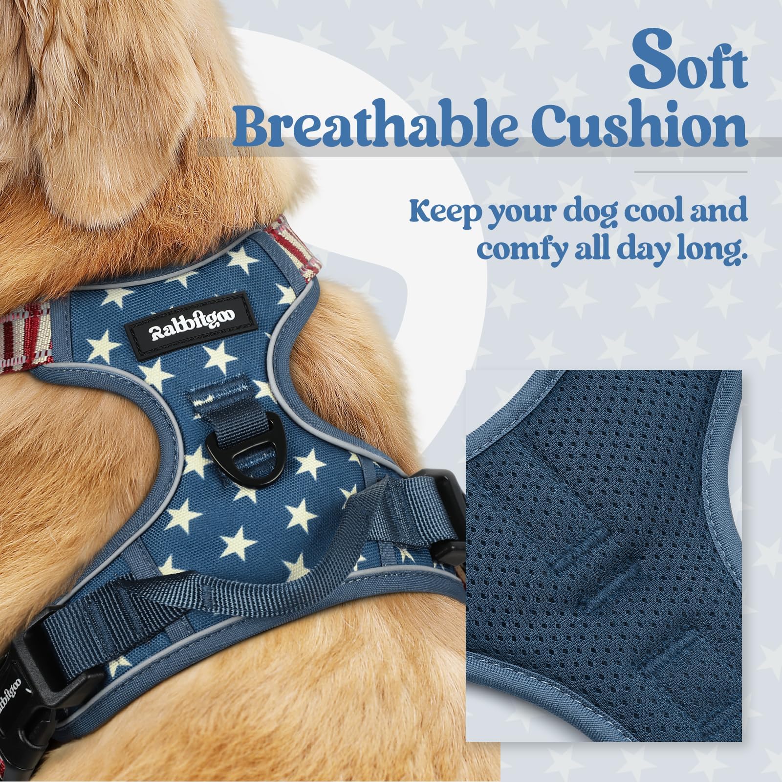 Rabbitgoo dog harness No Pull with chest clip helps stop pulling during training.