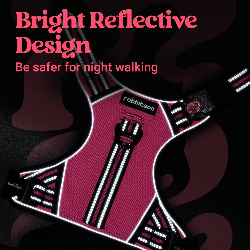 Rabbitgoo breathable mesh padding keeps dogs cool outdoors