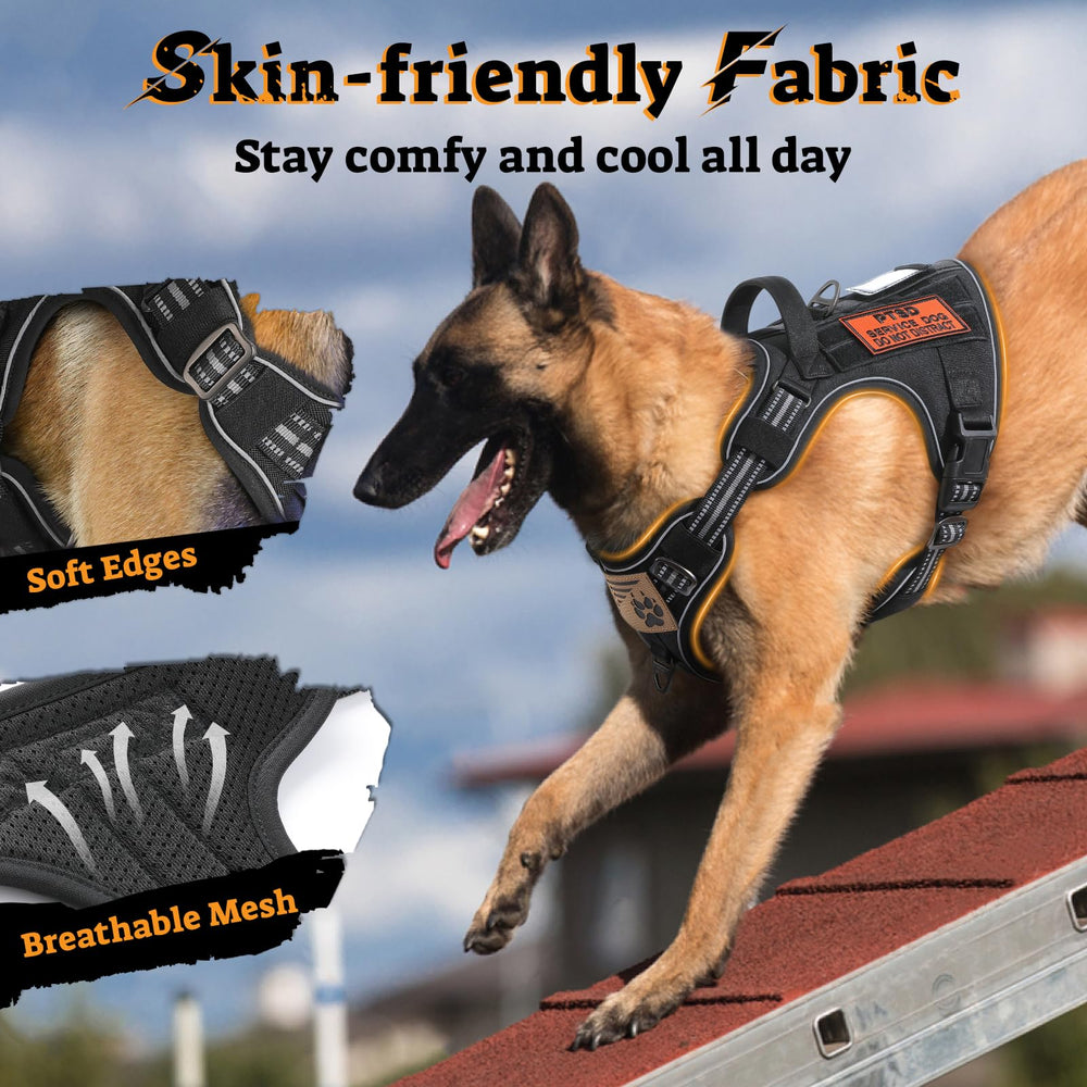 Rabbitgoo dog harness large padded handle for quick control.