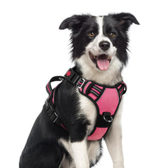 Rabbitgoo dog harness pink no-pull with 3 buckles for quick on/off.