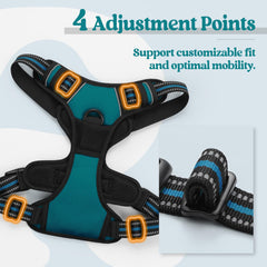 Rabbitgoo harness reflective strips blue coral increases visibility for night walks