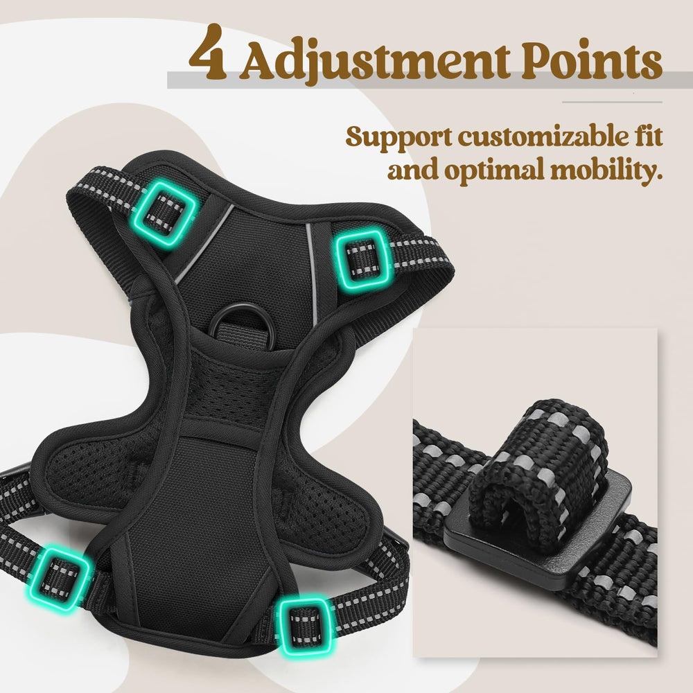 Rabbitgoo harness with reflective strips enhances visibility during night walks.