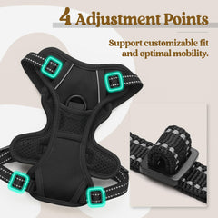 Rabbitgoo harness with reflective strips enhances visibility during night walks.