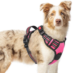 rabbitgoo dog harness rose pink side view highlights secure fit for daily walks