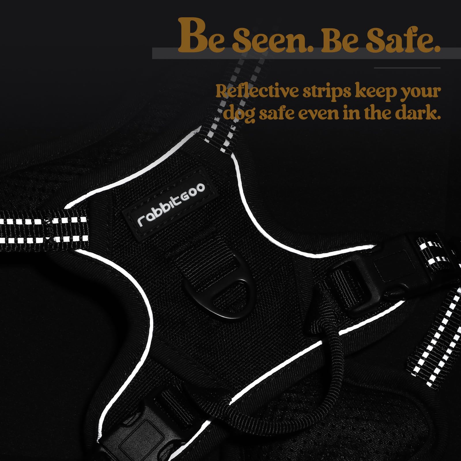 Rabbitgoo XS small-dog fit demonstrates size-conscious design for tiny breeds.