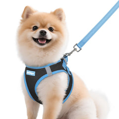 Rabbitgoo dog harness small front view shows secure, easy-on design for daily walks.