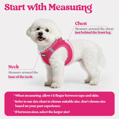 Rabbitgoo small-rose-red harness highlights breathable mesh for pet comfort.