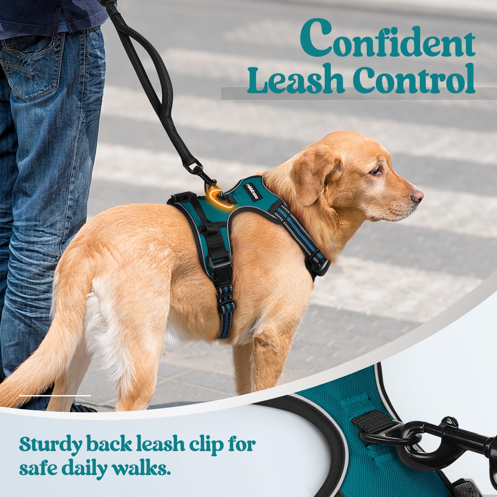 Rabbitgoo top-handle harness blue coral offers quick, controlled guidance during training