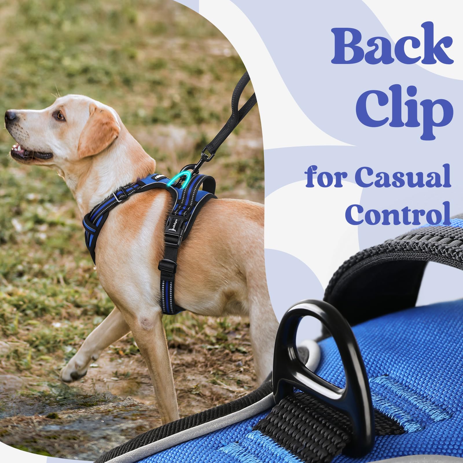 Rabbitgoo top handle offers controlled lifting or training support when needed.