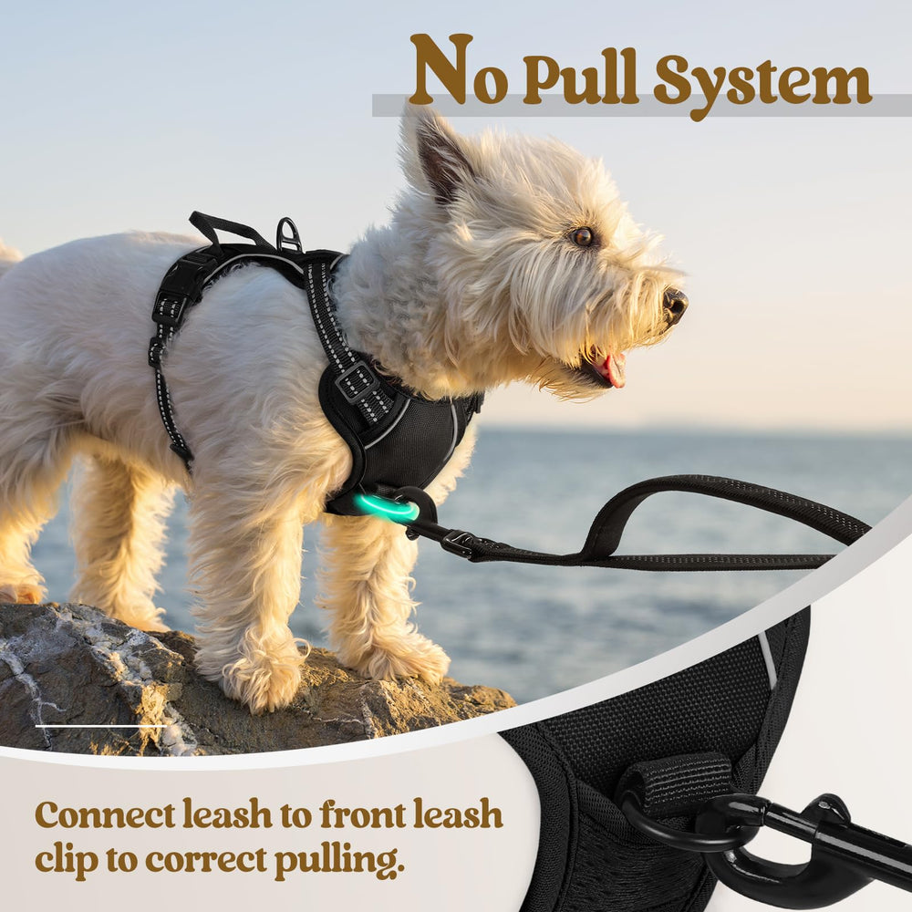 Rabbitgoo harness top handle provides extra control in busy areas.