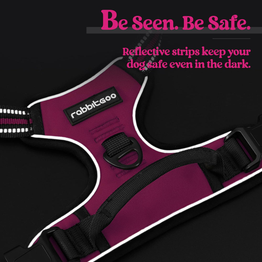 Rabbitgoo top handle control for easier handling during training