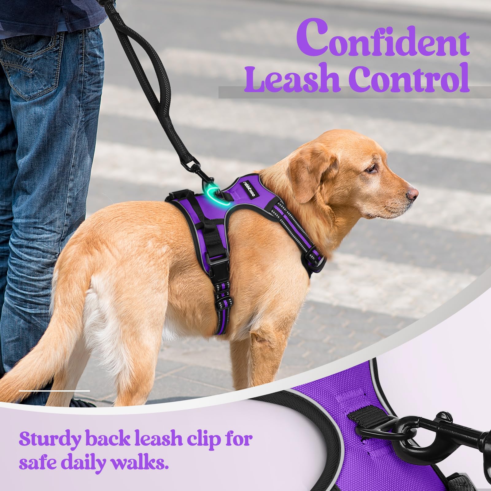 Rabbitgoo dog harness top-handle provides extra control during training.
