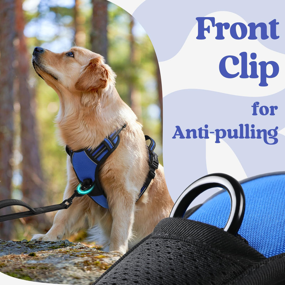 Rabbitgoo two-leash-attachment points provide options for training and everyday walking.