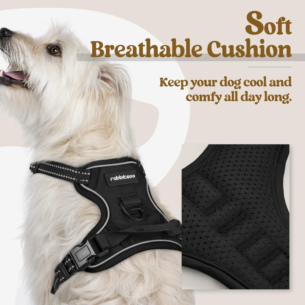 Rabbitgoo dog harness with two leash clips for flexible walking options.