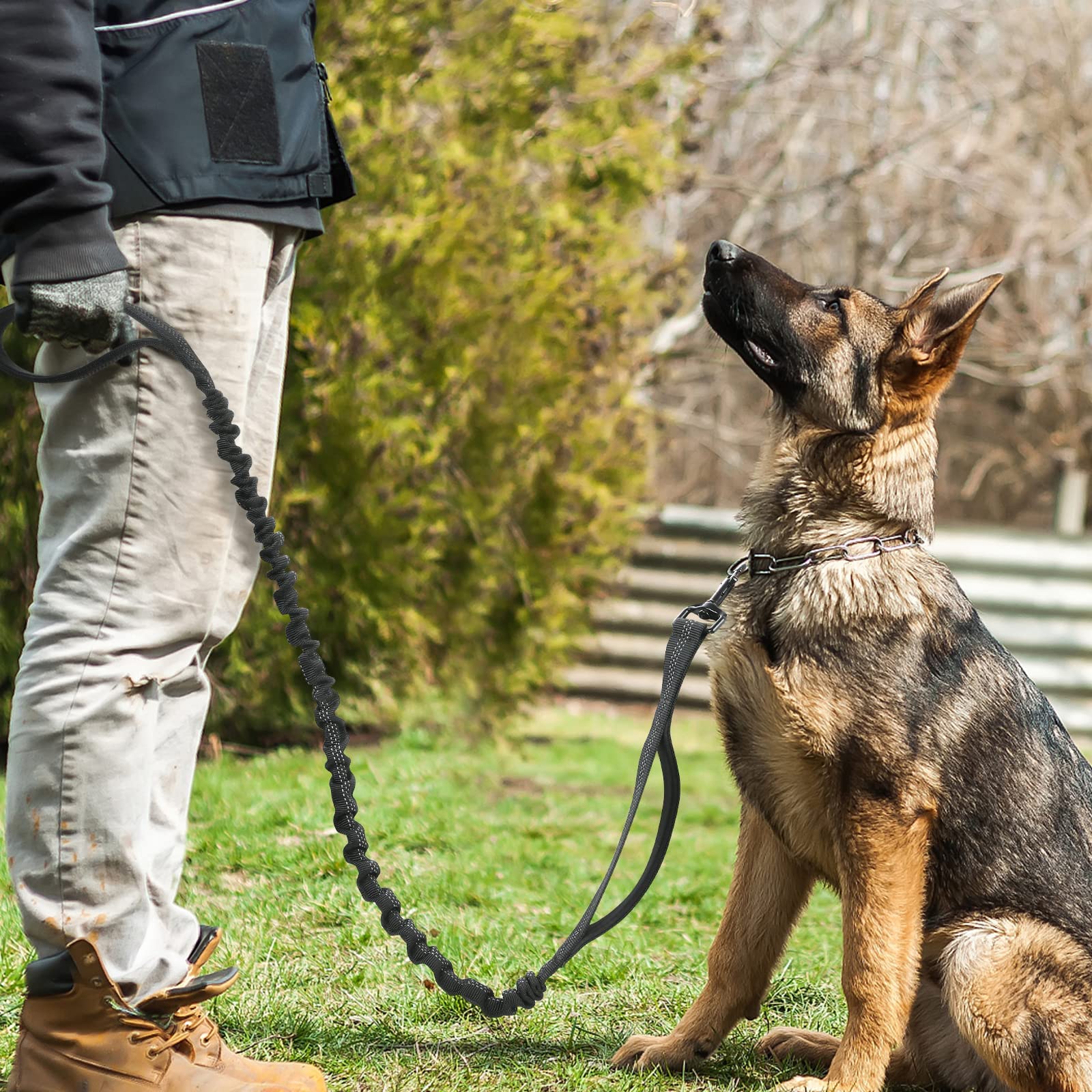 Rabbitgoo training-focused leash supports safe walking and focused practice sessions.