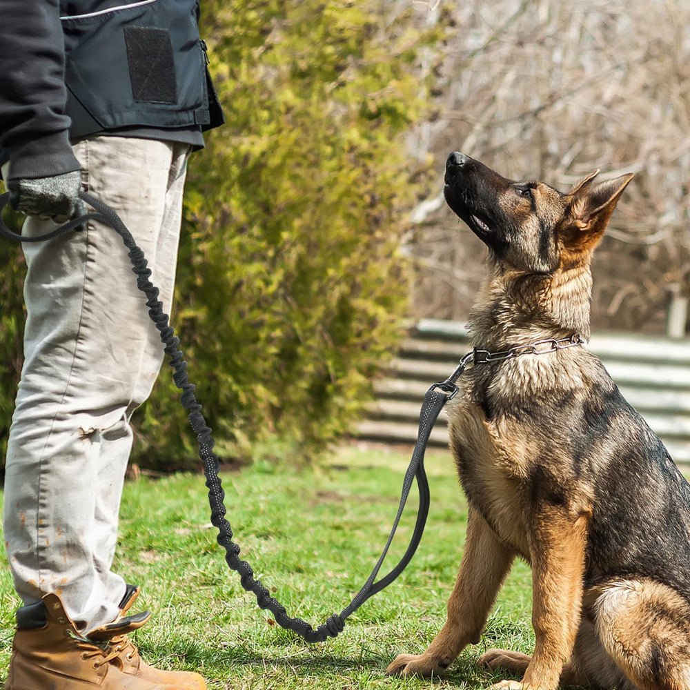 Rabbitgoo training-focused leash supports safe walking and focused practice sessions.