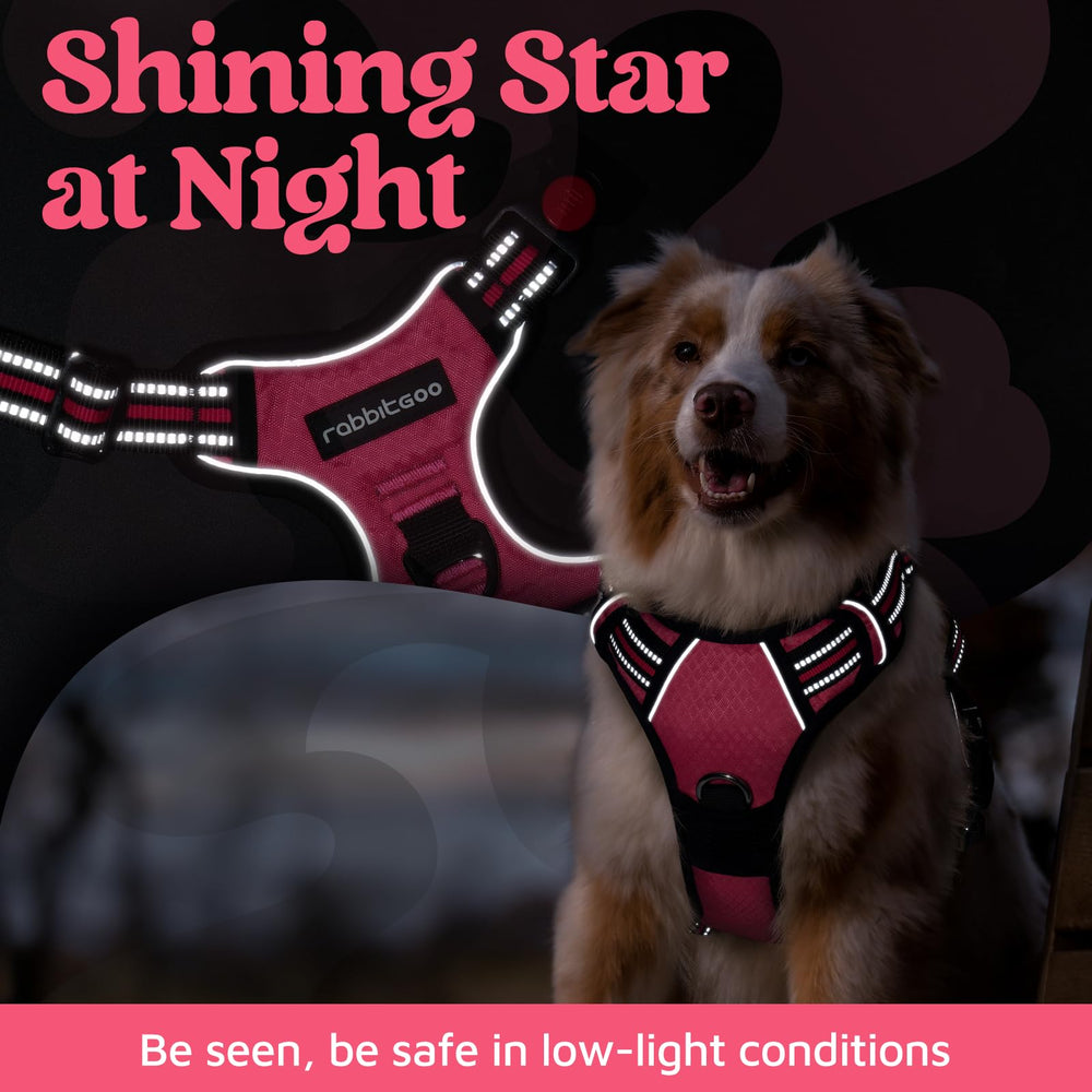 Rabbitgoo dual leash clips on front and back for versatile control.