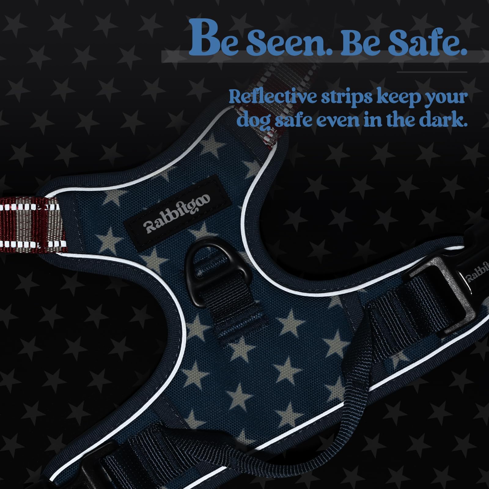 Rabbitgoo easy-on-off buckle for quick dog harnessing.