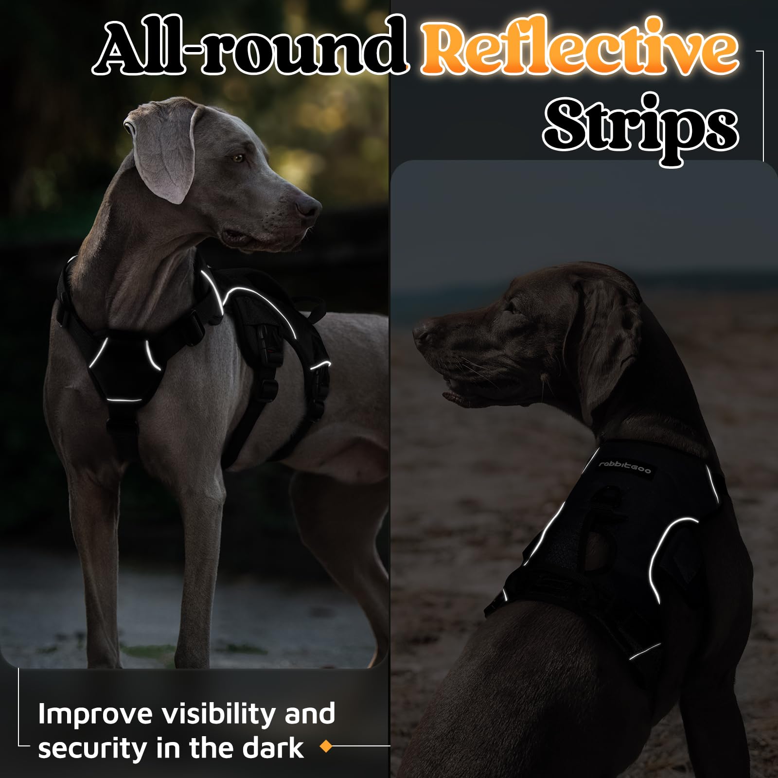 Rabbitgoo Harness during outdoor walking highlights quick-release buckles for easy wear