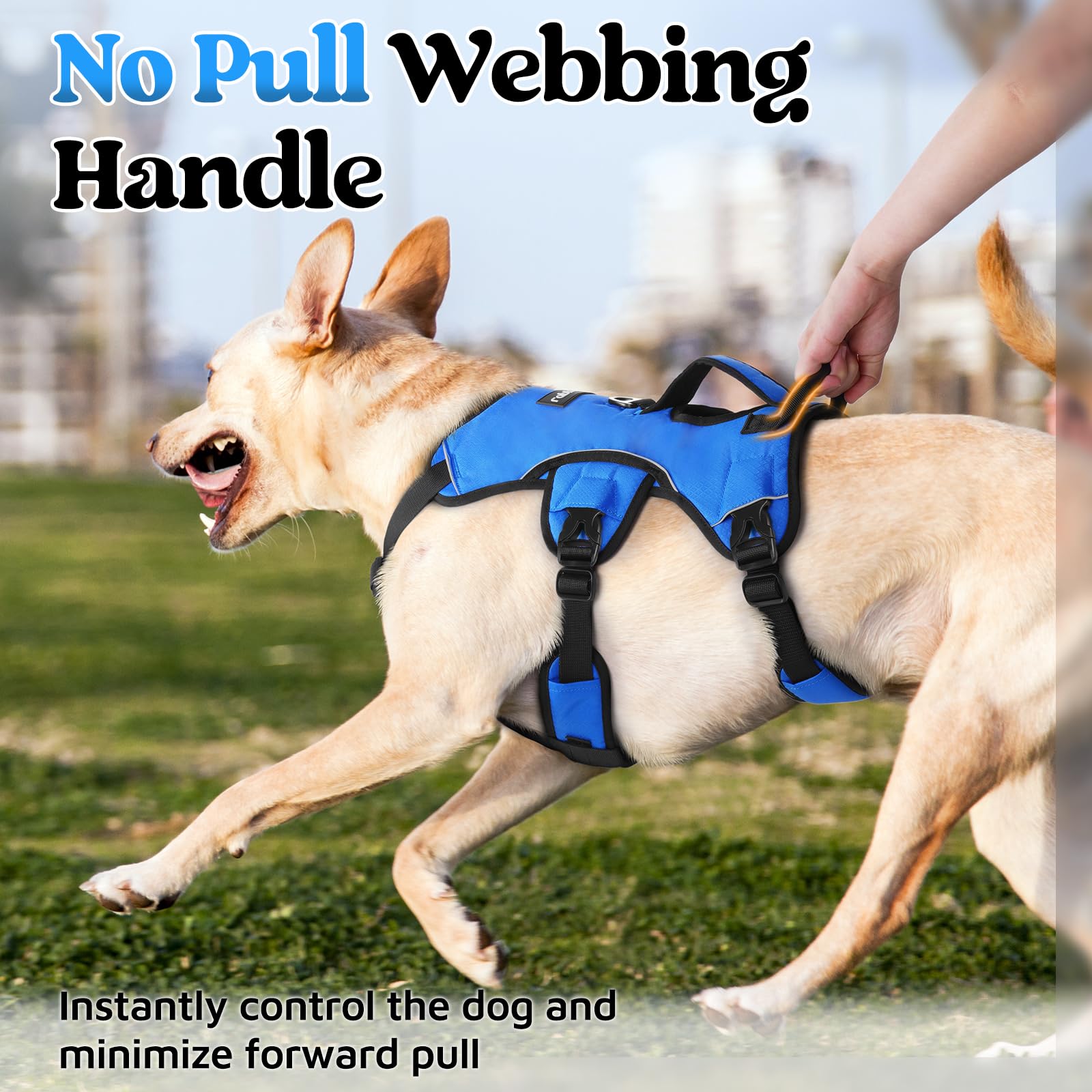 rabbitgoo Escape Proof Dog Harness blue back D-ring enables controlled, relaxed walking