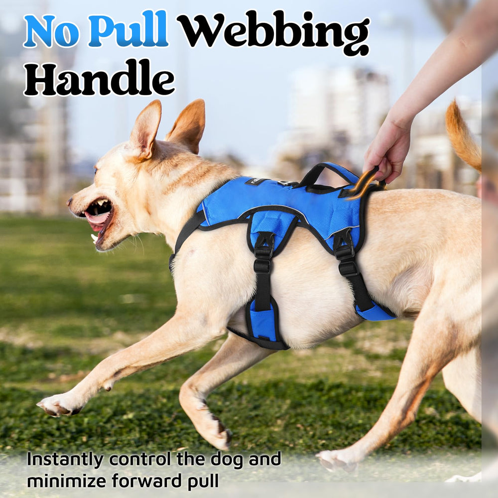 rabbitgoo Escape Proof Dog Harness blue back D-ring enables controlled, relaxed walking