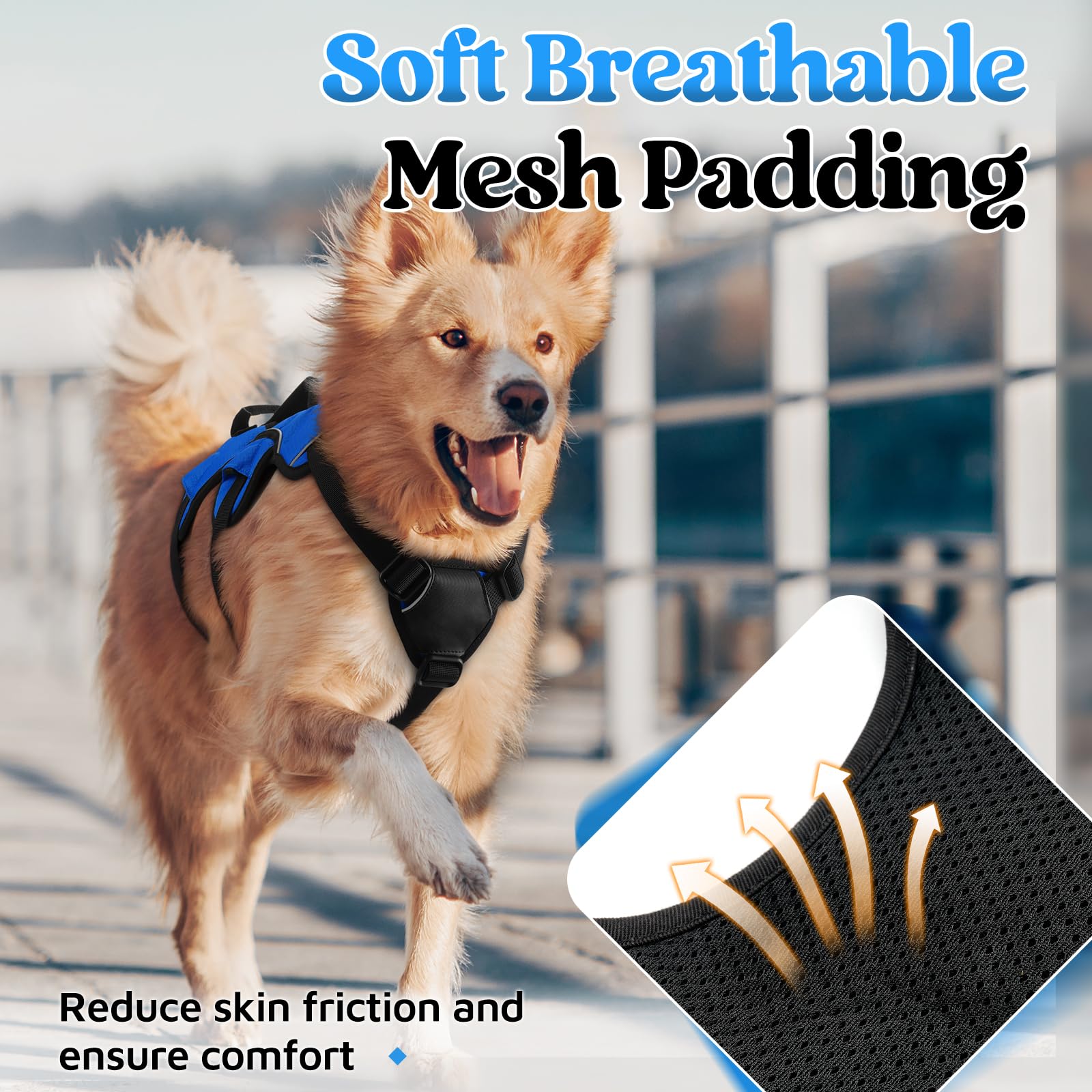 rabbitgoo Escape Proof Dog Harness blue breathable air mesh keeps dogs cool during walks