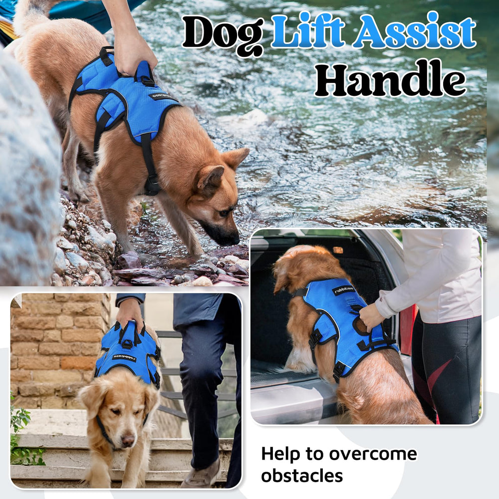 rabbitgoo Escape Proof Dog Harness blue lift handle offers instant support during stairs or car entry