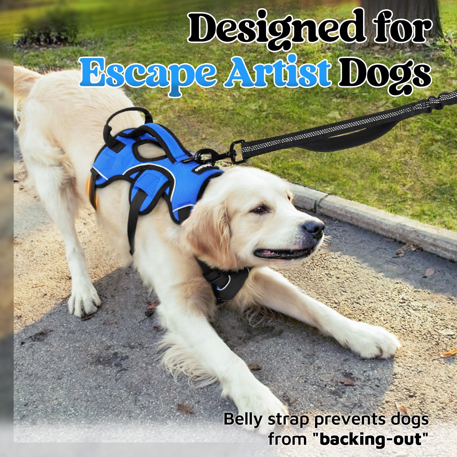 rabbitgoo Escape Proof Dog Harness blue side-adjustments demonstrate customizable fit for mobility